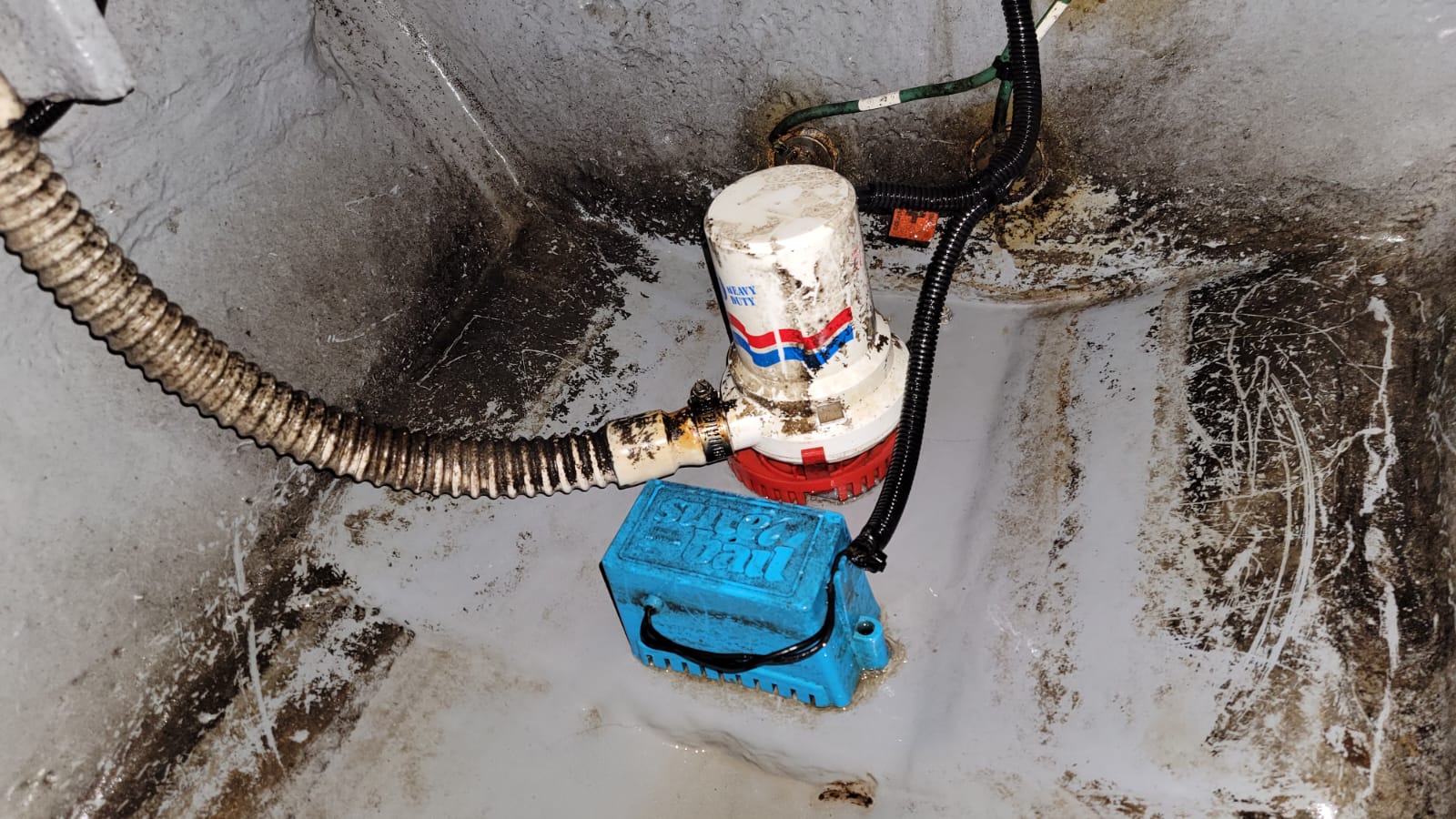 SeaRay Aft Cabin Bilge Pump & Float